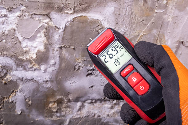 Mold Testing and Removal in Buffalo, MN