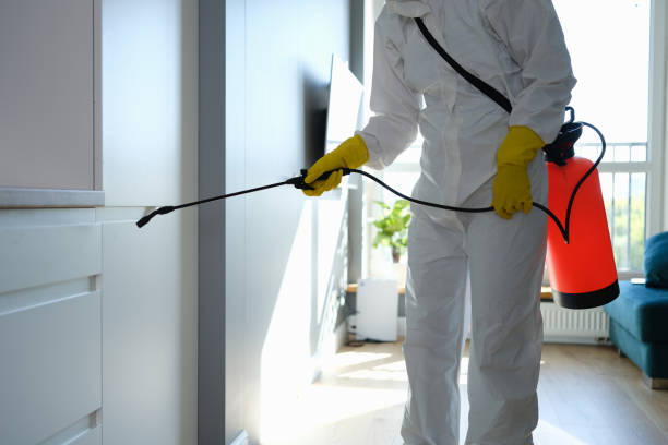 Best Crawl Space Mold Removal  in Buffalo, MN