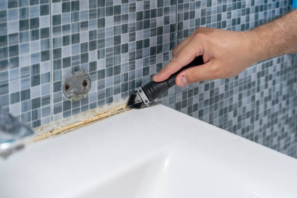 Best Home Mold Removal  in Buffalo, MN